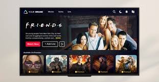 Best Streaming Platforms to Watch TV Shows and Movies in 2024